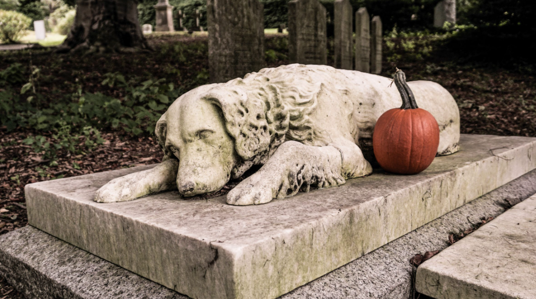 Basic Etiquette For Visiting Pet Cemeteries In Brisbane